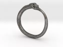 Snake Ring