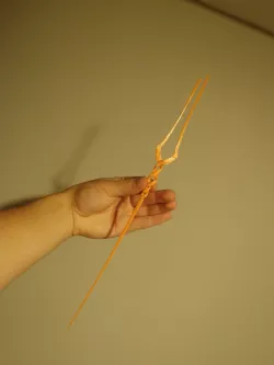 Spear Of Longinus From Neon Genesis Evangelion
