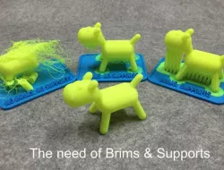 Teaching tool of 3D printer with brims & supports