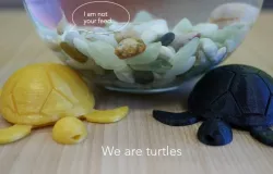 Turtle with moving legs