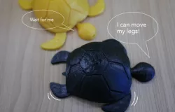 Turtle with moving legs