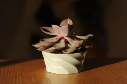 Twisted plant pot