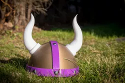 Vikings Helmet