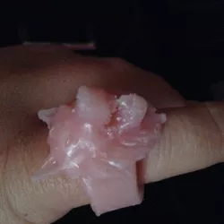 Wolf Head Ring