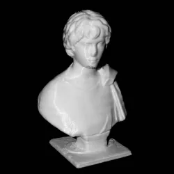 Young Gaul at The Louvre, Paris