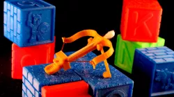 Zheng's Diminutive Defender