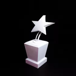 3D-Star