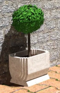 A Pot Plant