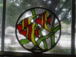 AngelFish