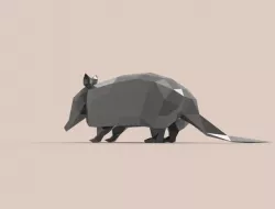Armadillo