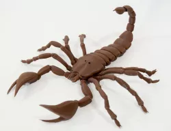 BJD pet Scorpion