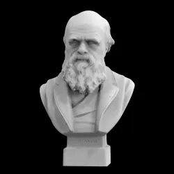Bust of Charles Darwin