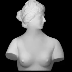 Bust of the Medici Venus
