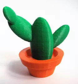Cactus Pot