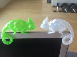 Chameleon