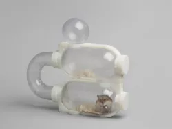 Charles and NiXie's Hamster House on the Moon