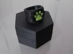 Chat Noir's Ring