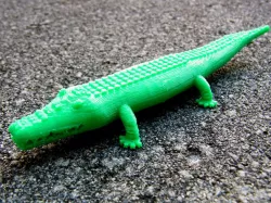 Crocodile