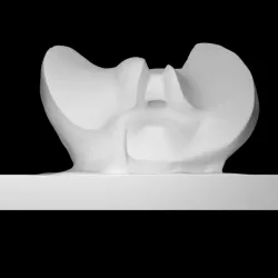 Divided Oval Butterfly