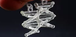 DNA Double Helix Earrings