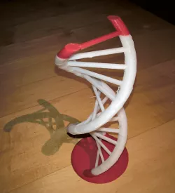 DNA helix