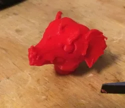 dragon head