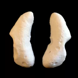 Eros