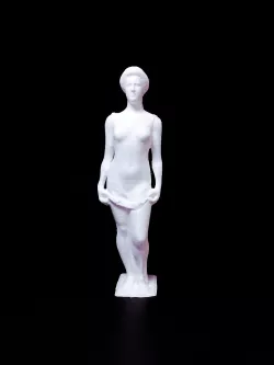 Flora