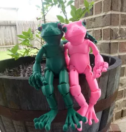 Froggy: the 3D printed ball-jointed frog doll