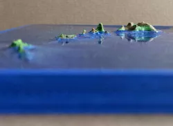Hawaiian Islands with seafloor