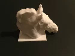 Head of a Horse