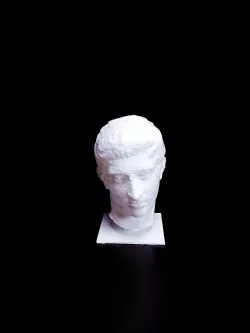Head of a Youth