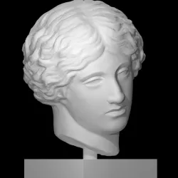 Head of an Amazon