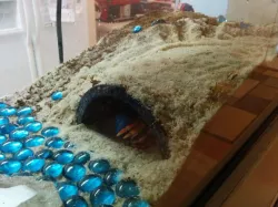 Hermit Crab Arch House
