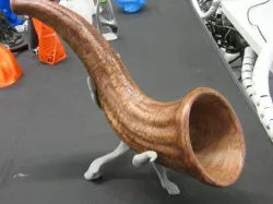 Horn