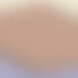 iPad Pro Model