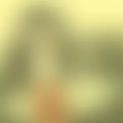 iphone text product