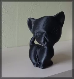 Kitten