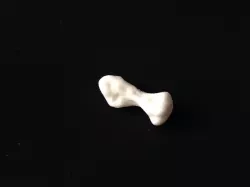 Kleopatra