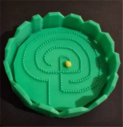 Labyrinthine ball game