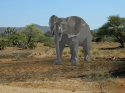 low poly elephant