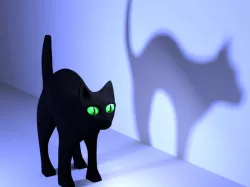 mad cat