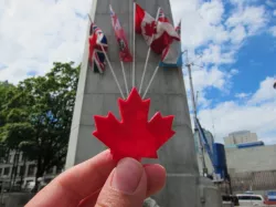 Maple Leaf - Canada Day!