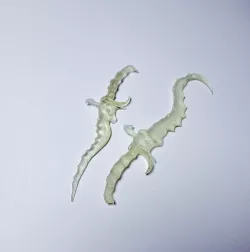 MONSTER HUNTER - Blood Dual Blade