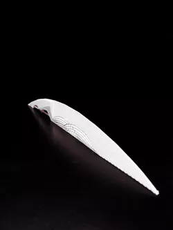 Monster Hunter Weapon