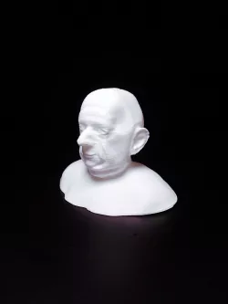 Mr. Bevelaqua