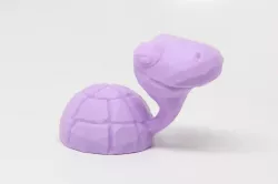 Myrtle the Turtle