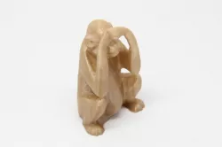 Peekaboo Monkey