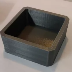 Petri Dish
