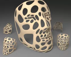 Polygon Mask - Voronoi Style (Single walled)